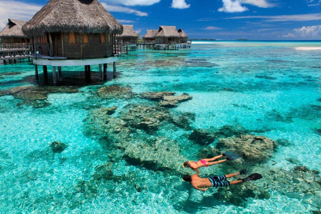 Sea-lily Beach Villa