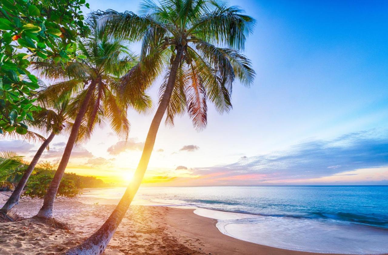 Villa Sea-lily Beach *