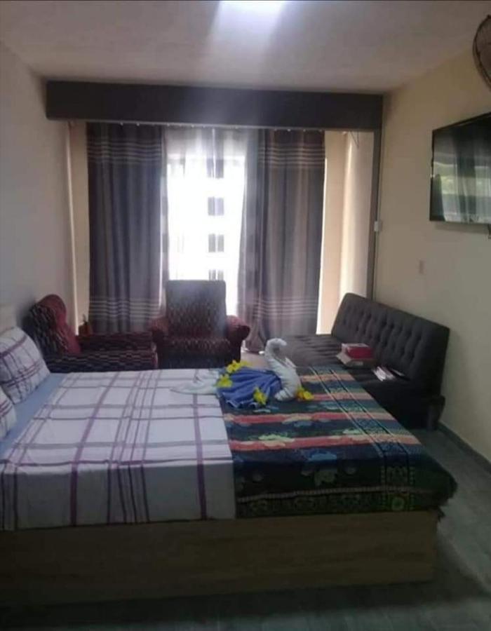 Reviva Apartment