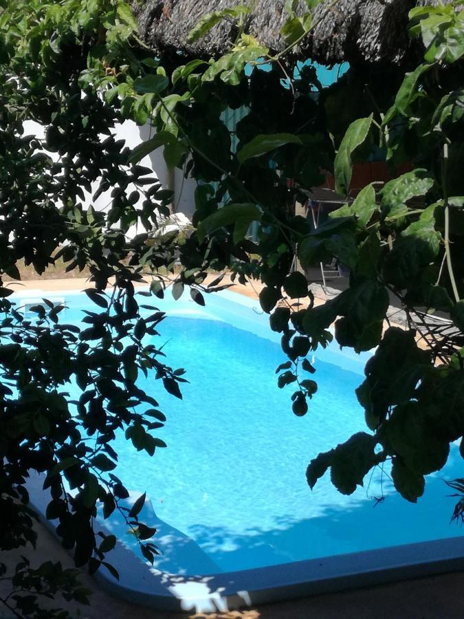 Bahama Breeze Apartment Calodyne