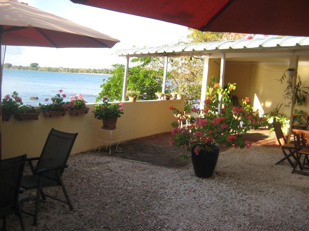 Le Cactus Apartamento