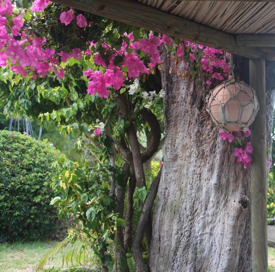 Kailani Guest house