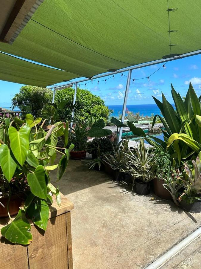 The Palms Ocean Views Apartment