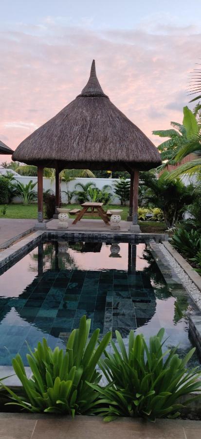 7 Hacienda Luxueuse & Exotique Piscine Privee Peyrebere Villa Bain Boeuf