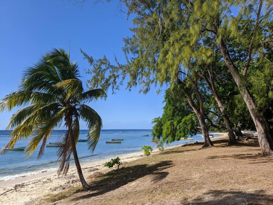 Apartment A Beachfront Haven - Ocean Point B2