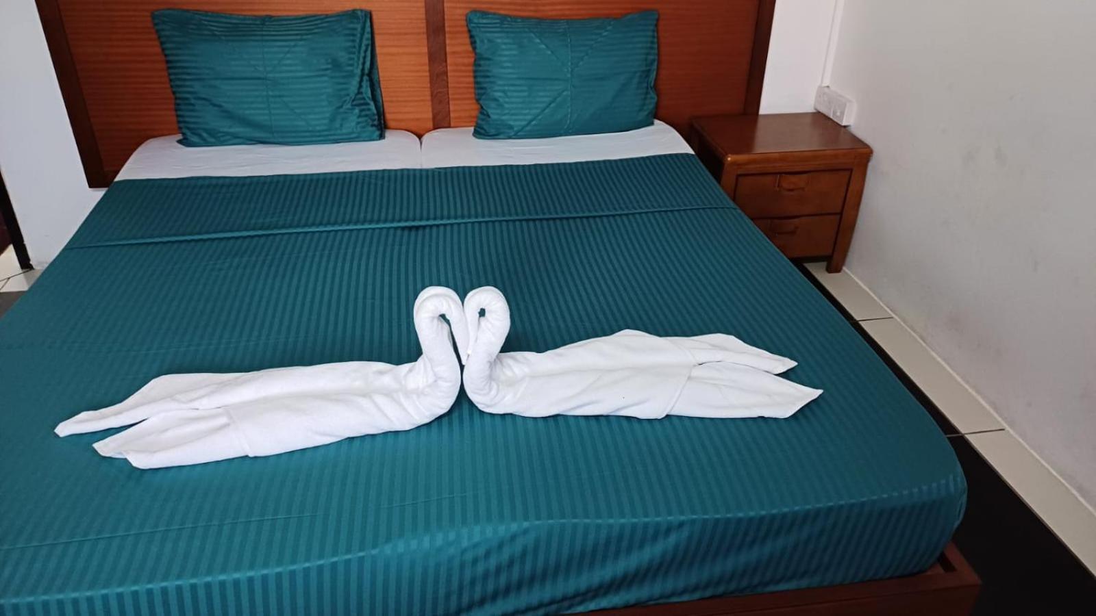 The Palm Apartment *
