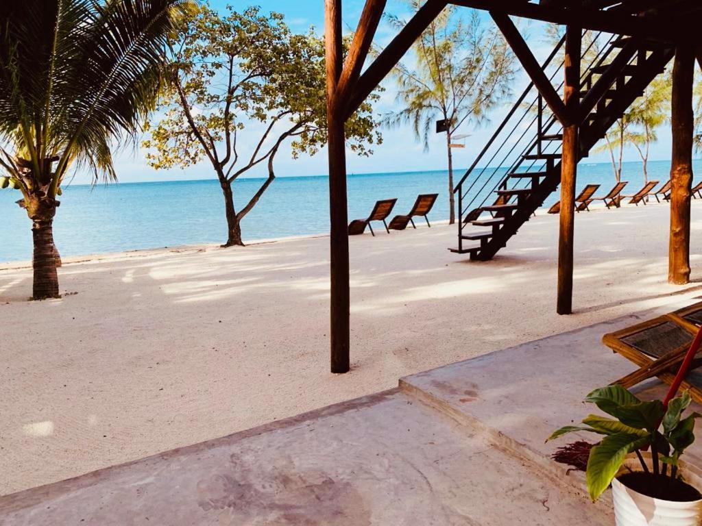 Bon Vivant Front De - Ile Rodrigues *