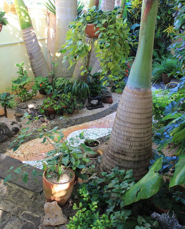 La Reine Creole Bed & Breakfast La Gaulette