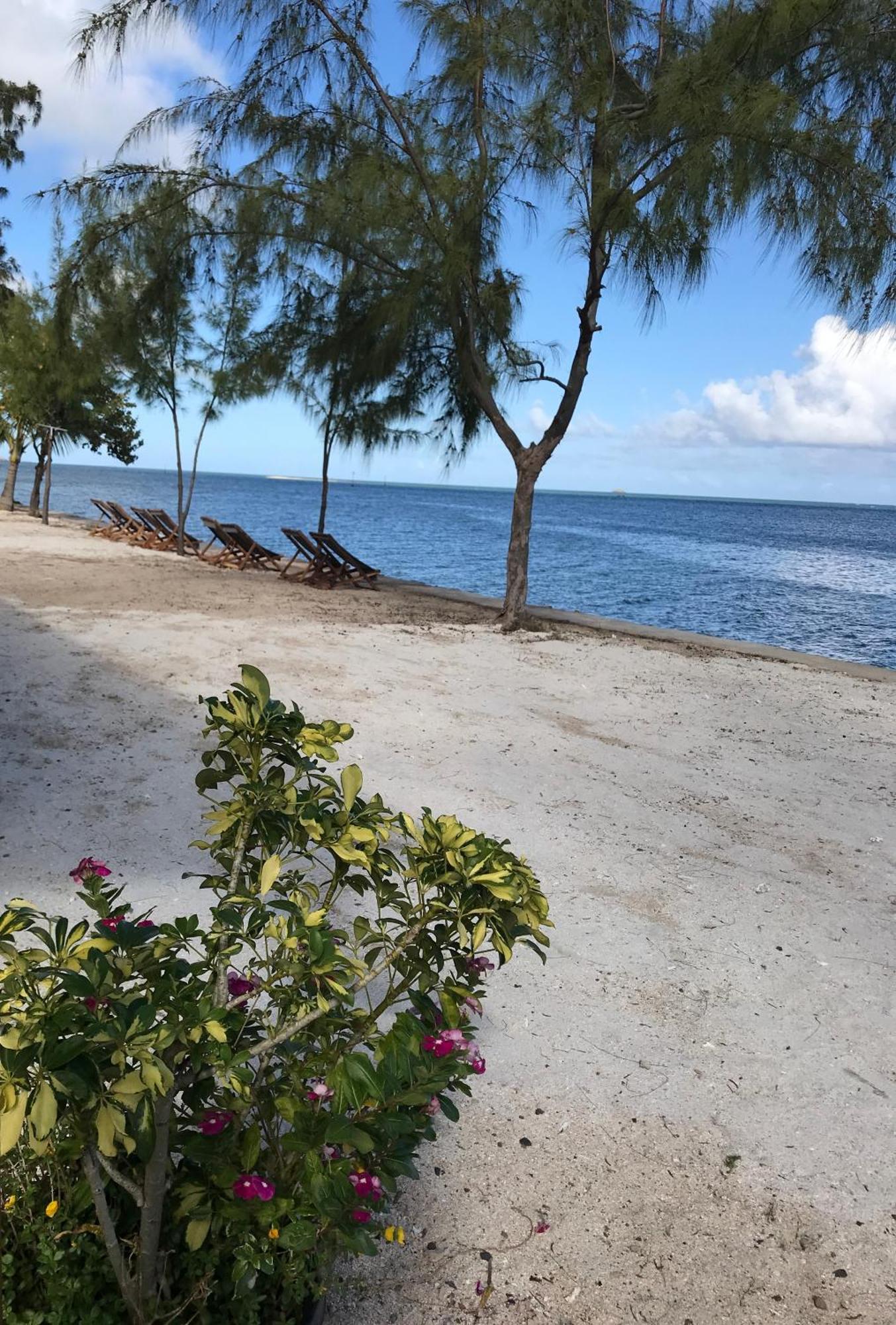 Bon Vivant Front De - Ile Rodrigues Hotel Port Mathurin
