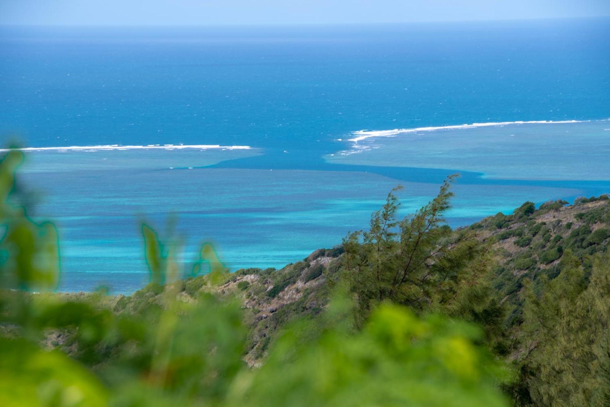 Le Tropical Chez Jeannette * Saint Gabriel