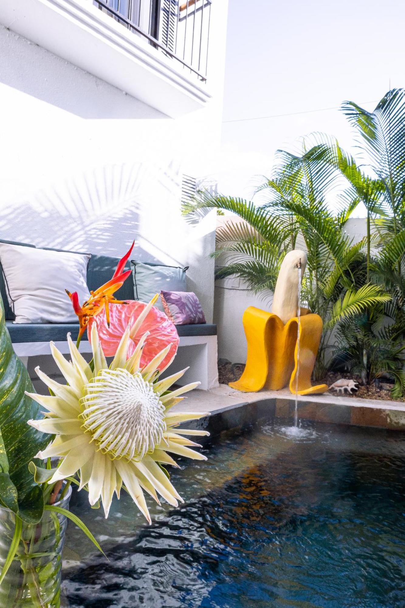 Hotel Cosy Sous Le Badamier 3*