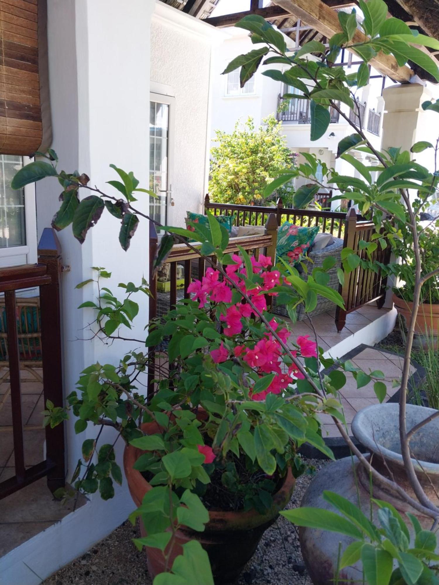 Chillpill Guest house 3*