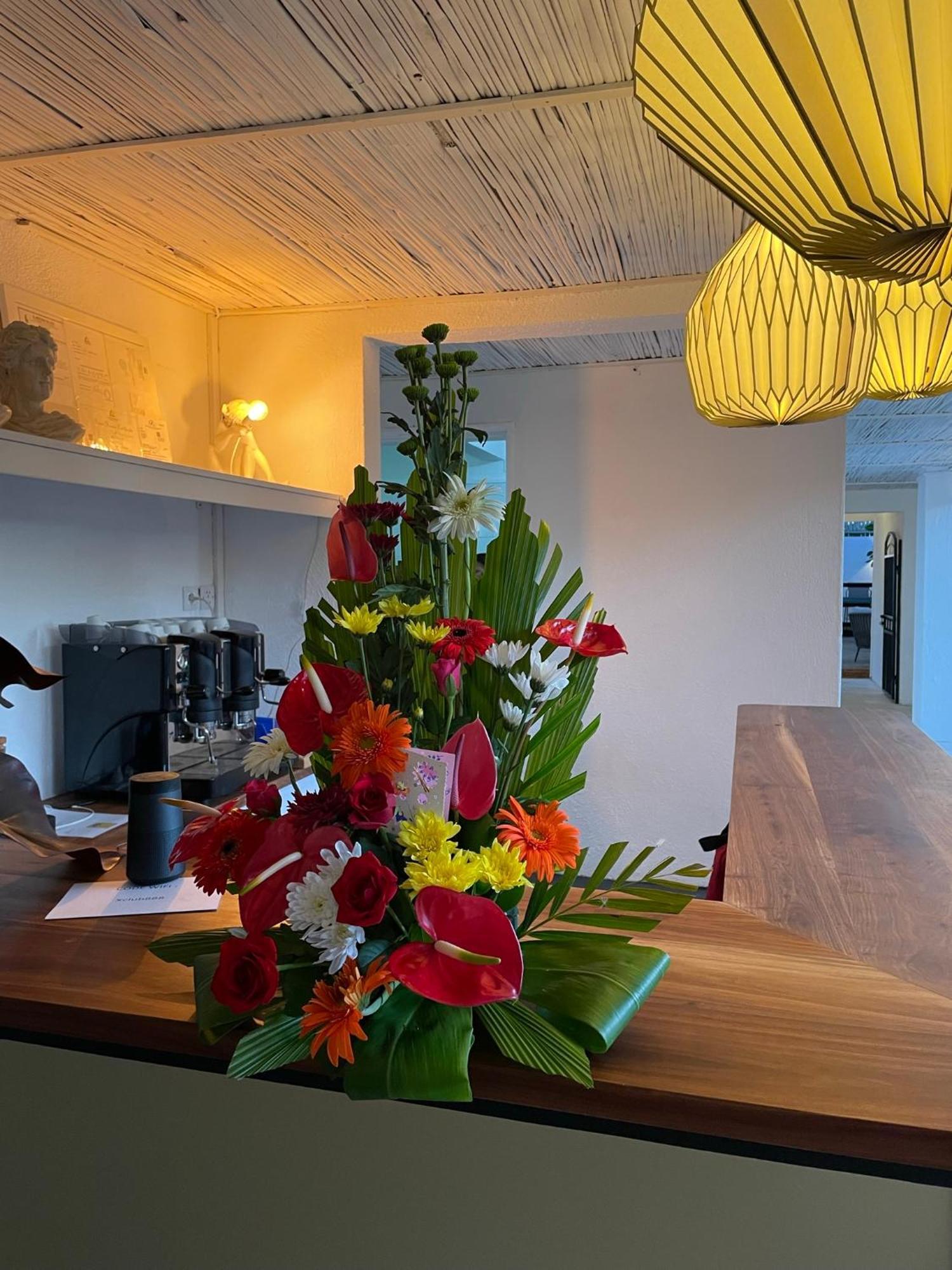 Hotel Cosy Sous Le Badamier Grand Baie