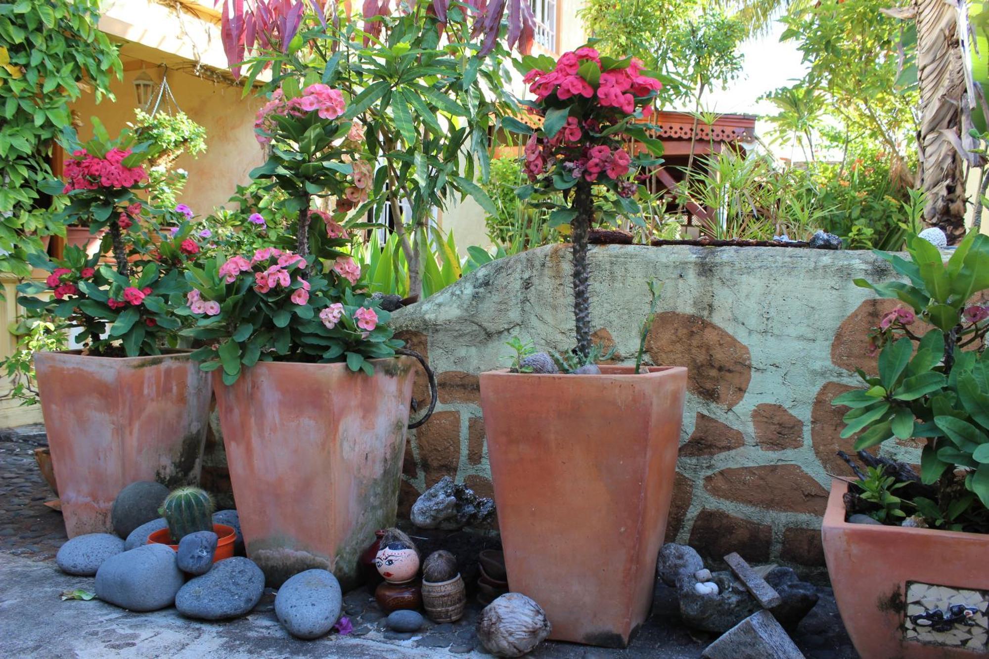 La Reine Creole Bed & Breakfast