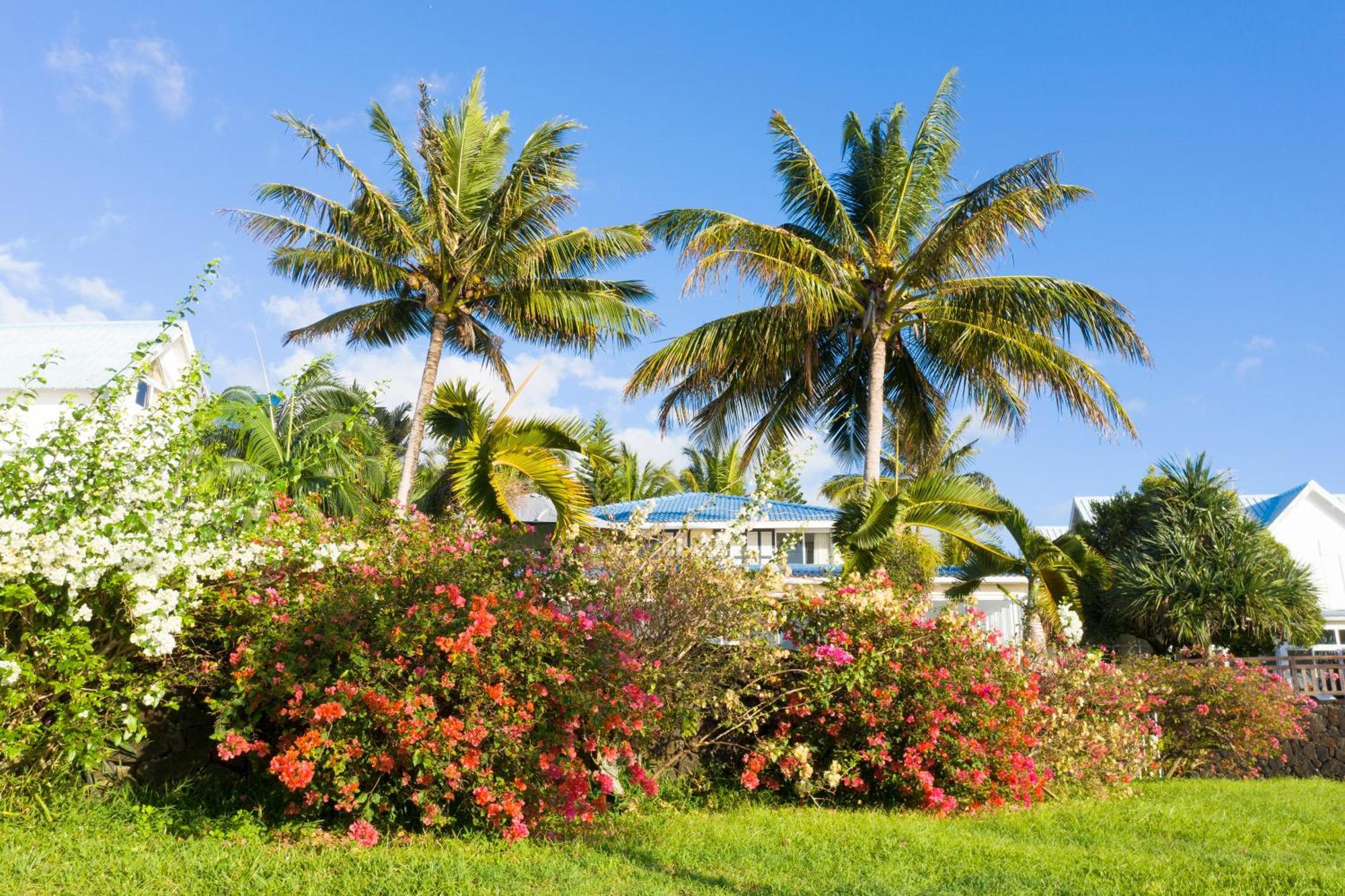 Maya Oceanfront With Pool, Jaccuzzi, Wifi, Jets In Bathroom Holiday home *