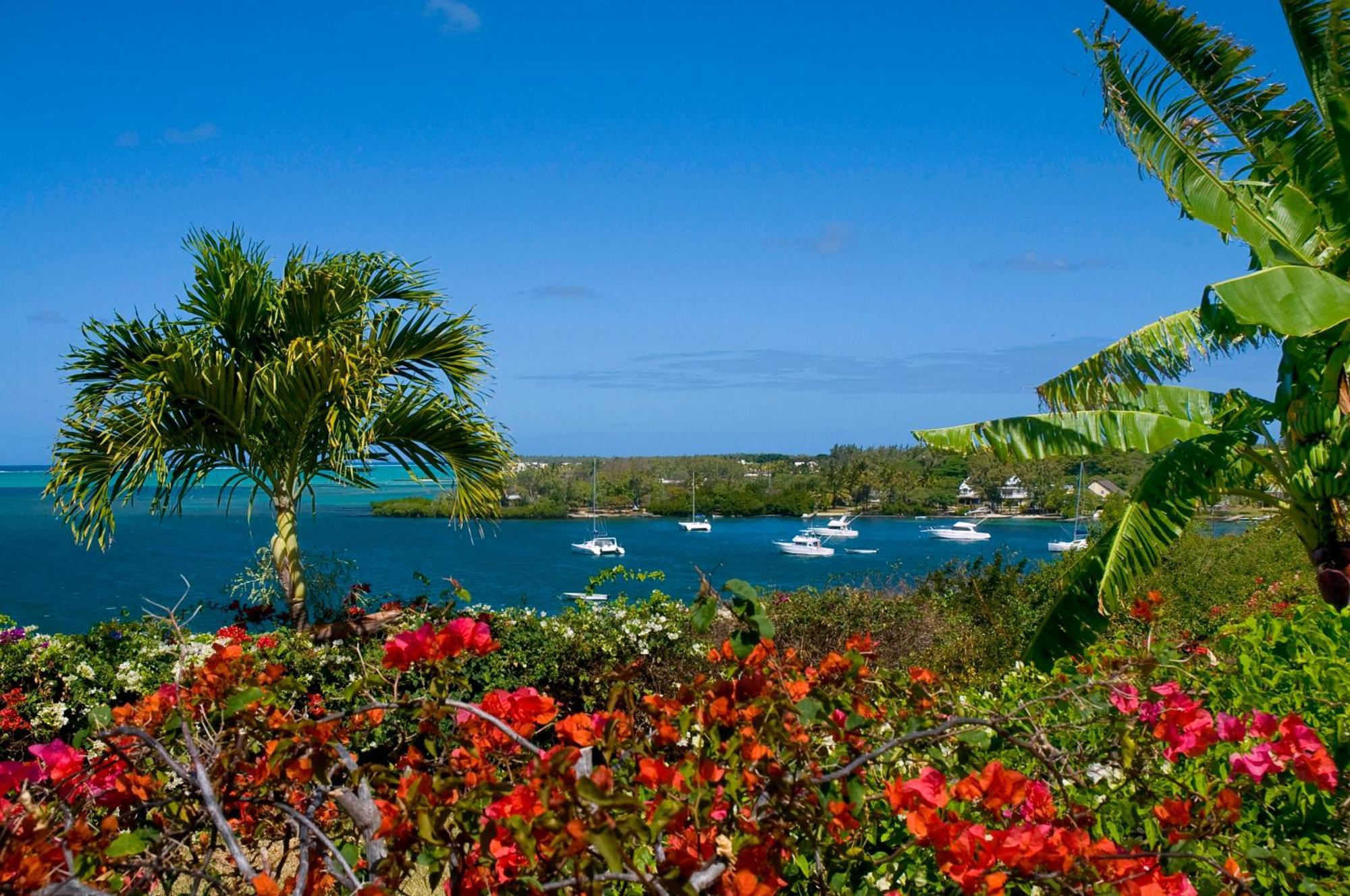 Maya Oceanfront With Pool, Jaccuzzi, Wifi, Jets In Bathroom Trou d'Eau Douce