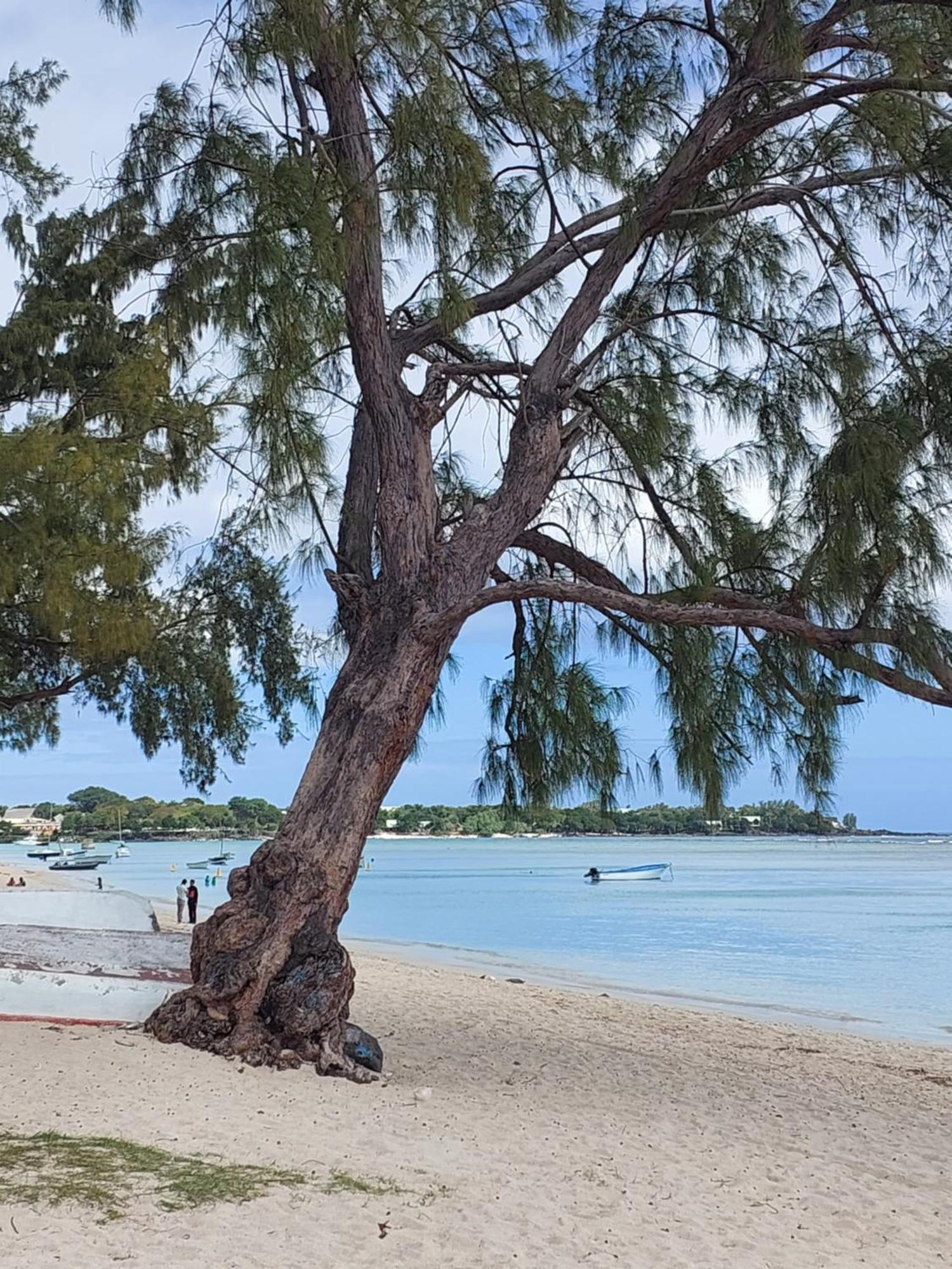Bord De Lagon Bleu
