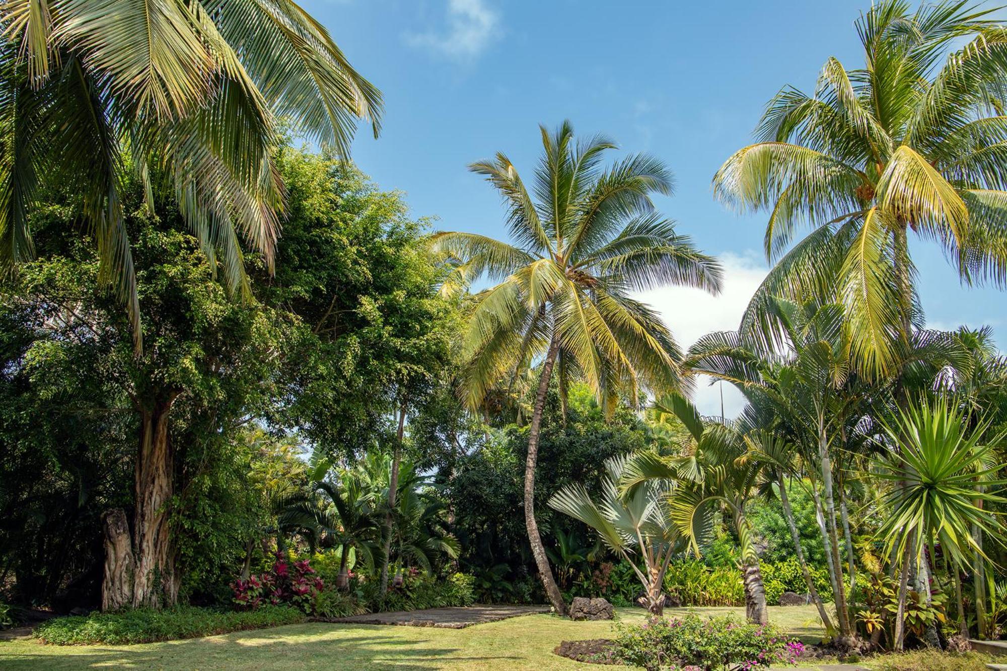 Villa Lunea Anahita - De Reve Entre Et Golf