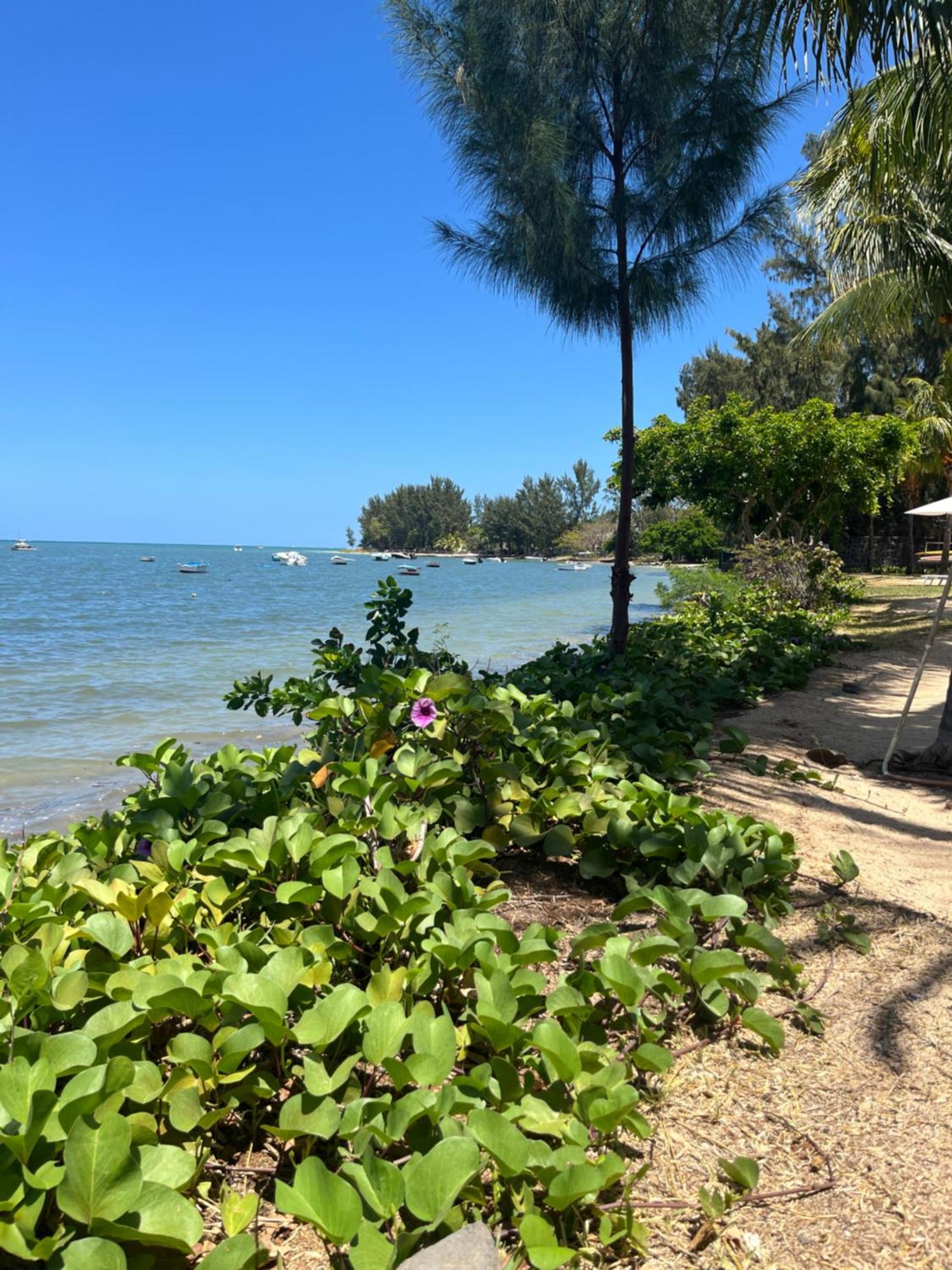 Latitude Sea Front Luxury Riviere Noire