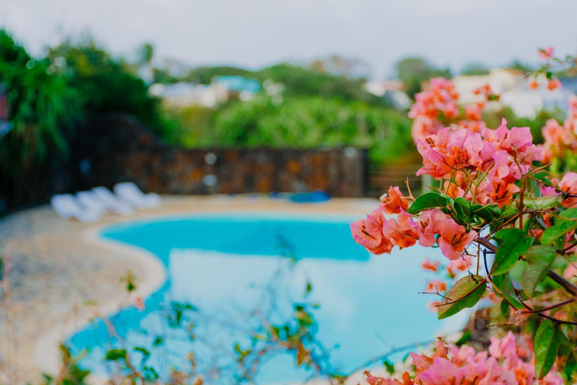 Holiday home Boutique On The Rocks With Stunning Sea Views, Infinity Pool & Private Sea *