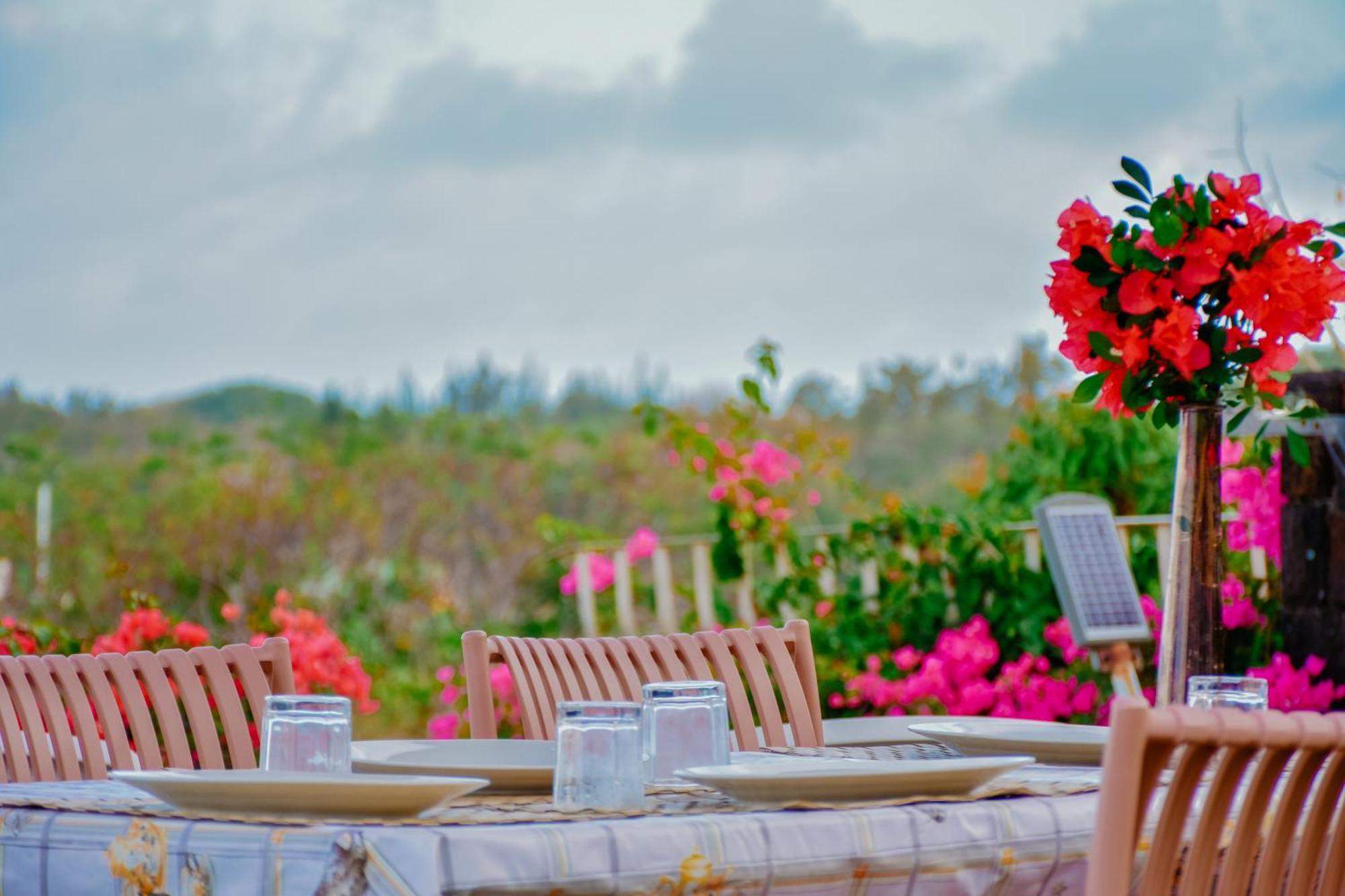 Holiday home Boutique On The Rocks With Stunning Sea Views, Infinity Pool & Private Sea Trou d'Eau Douce