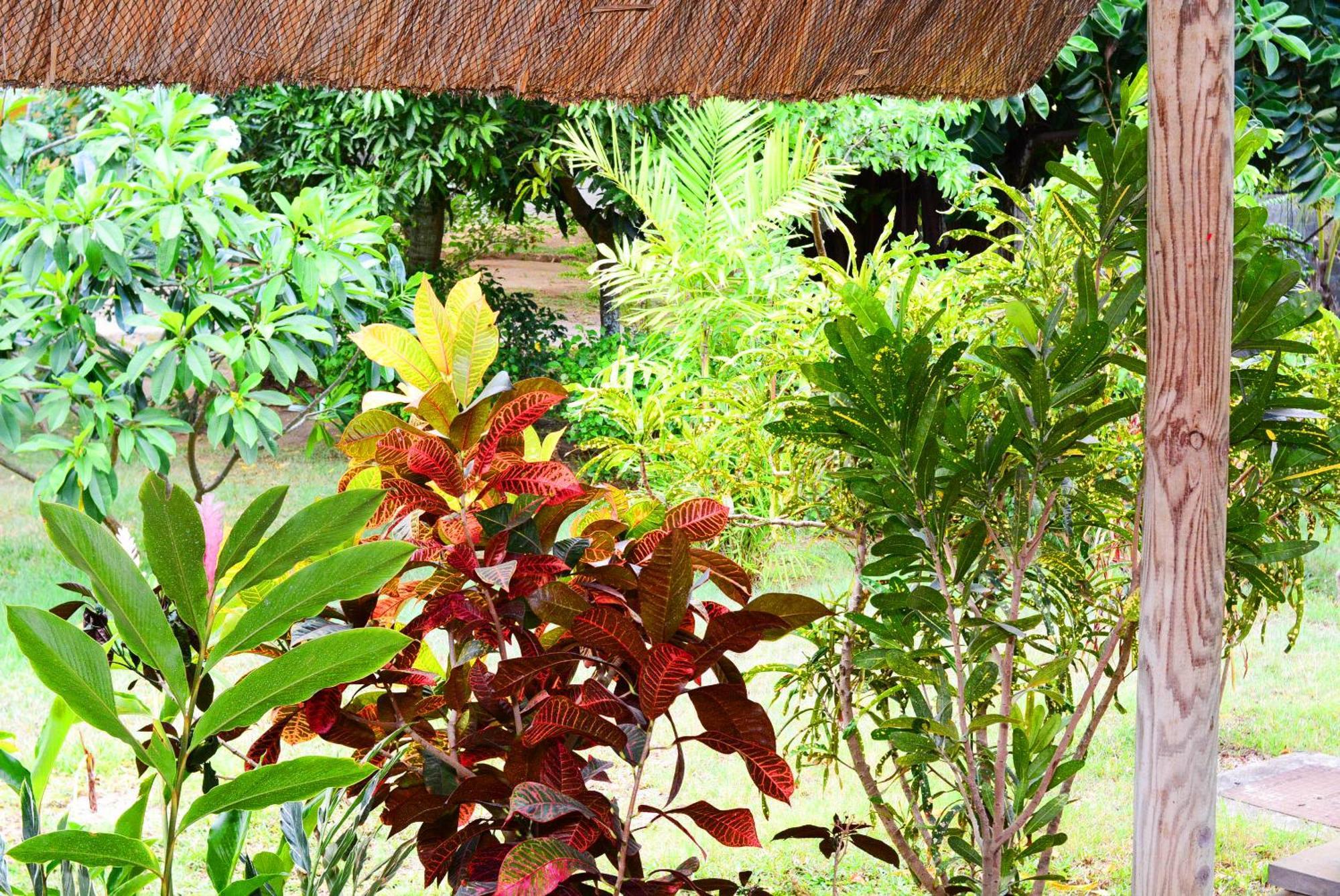 Casa de férias Ernestville 2 Beachfront
