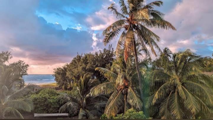 Poisson D'or Guest house Port Mathurin