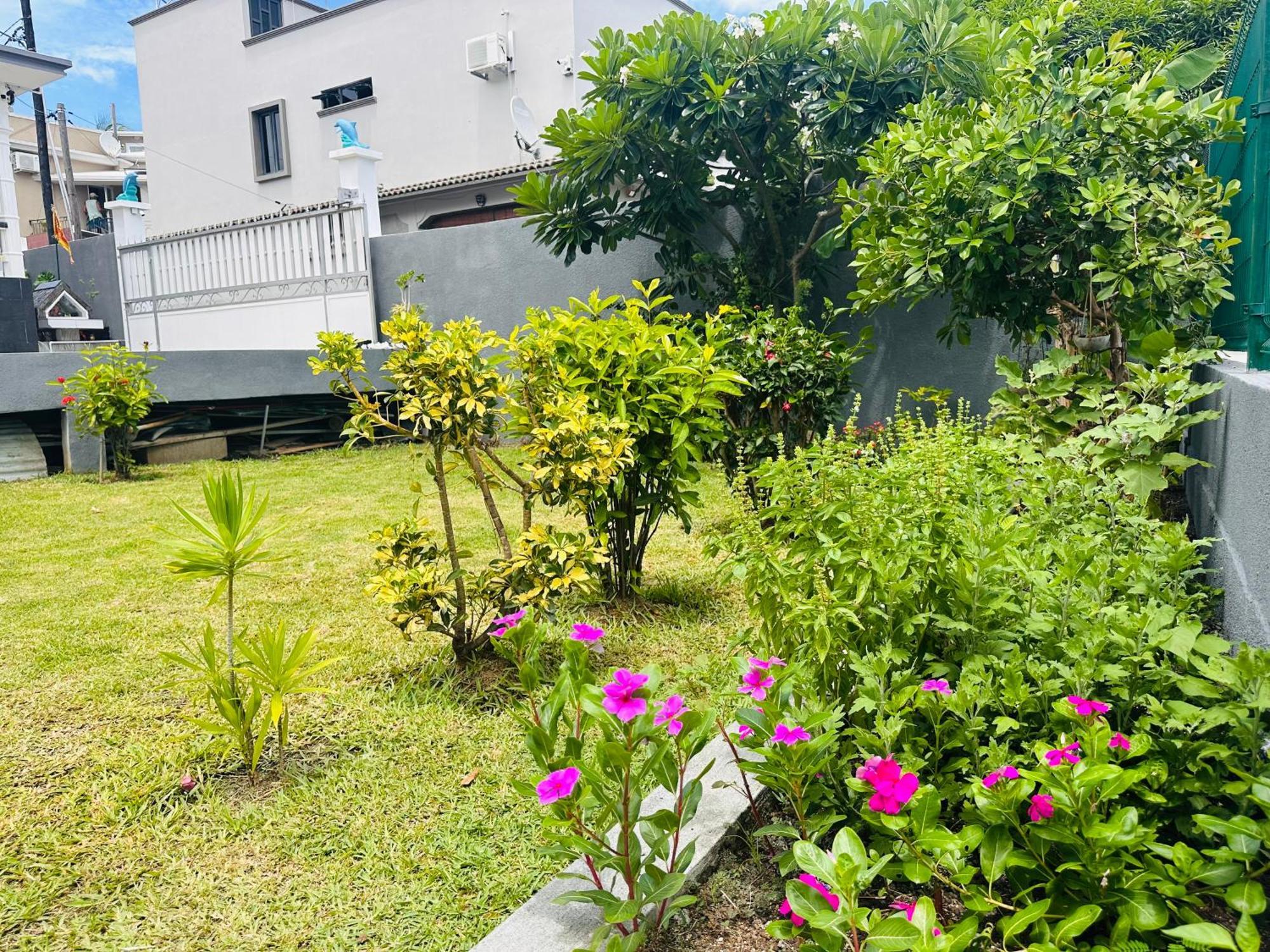 Lavender Guest house Le Morne