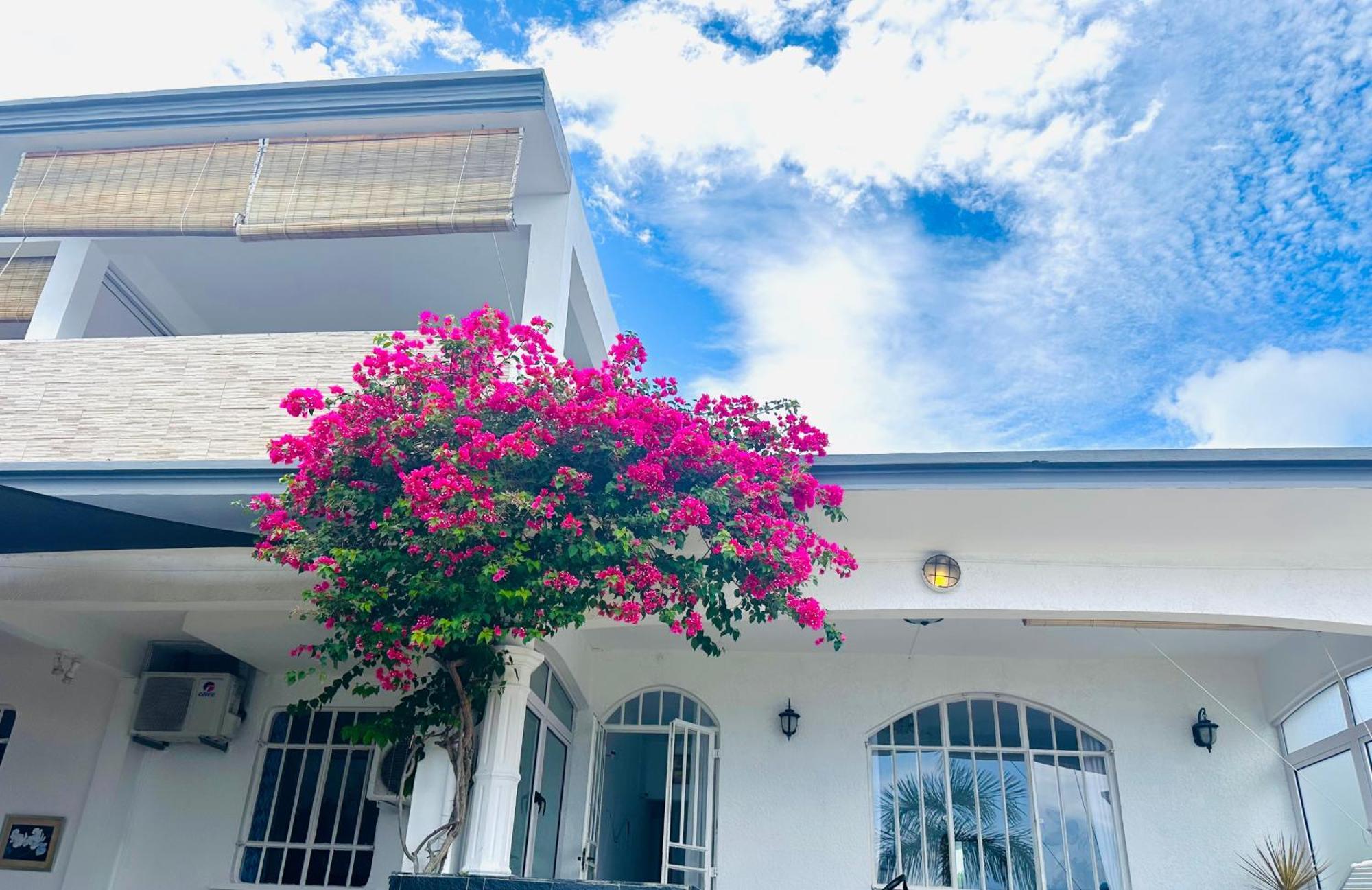 Lavender Guest house