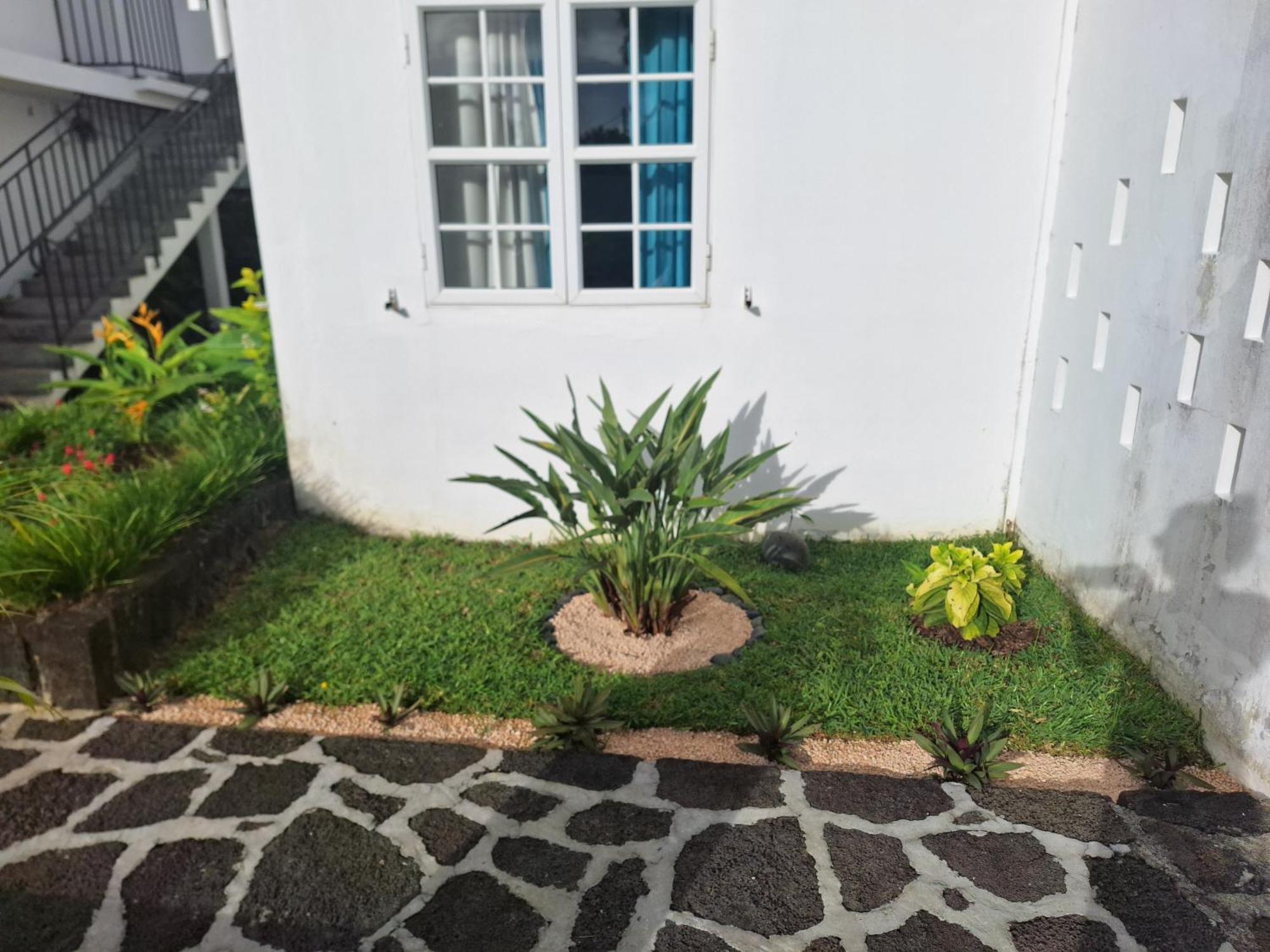 Apartment Le Beau Manguier *