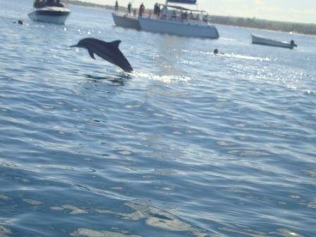 Fayruz * Flic en Flac
