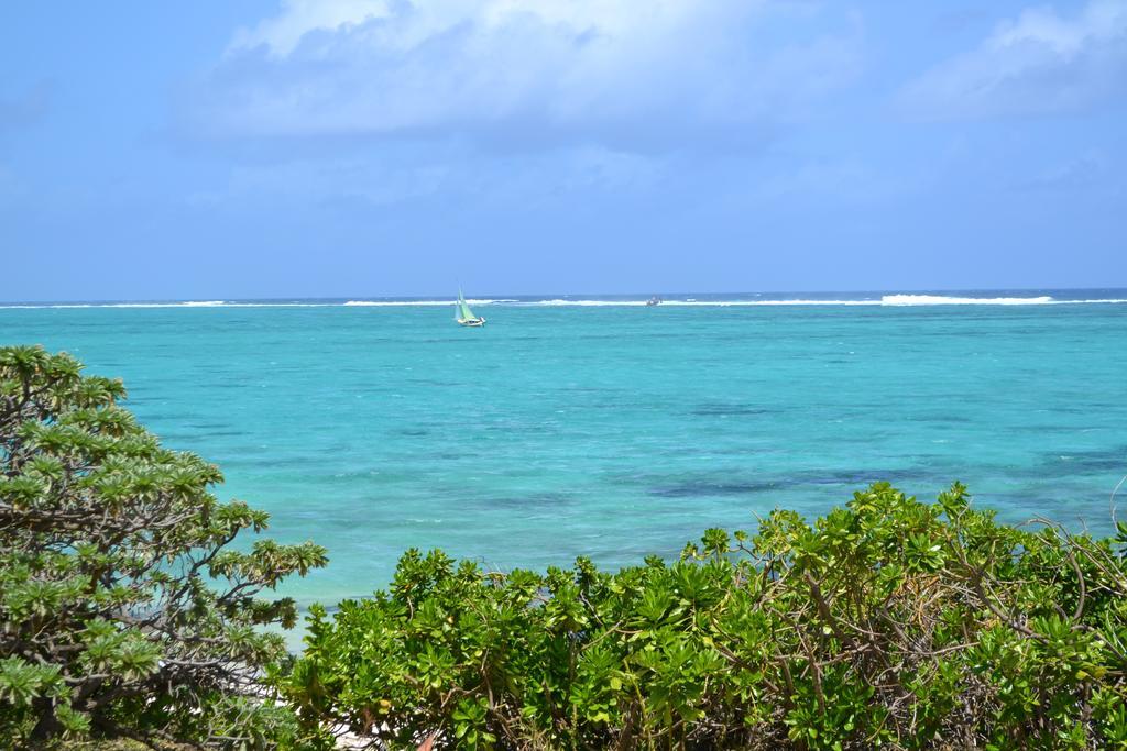 Du Lagon *