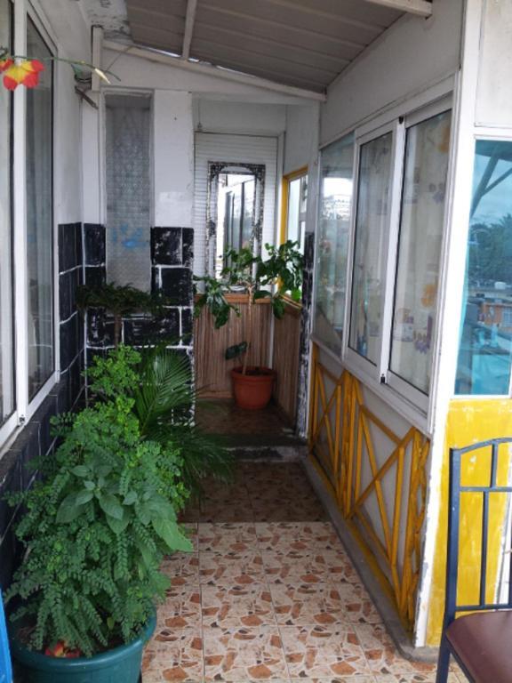 Bed & Breakfast Le Bamboo 3*