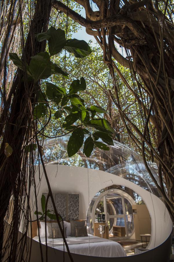 Bubble Island Lodge