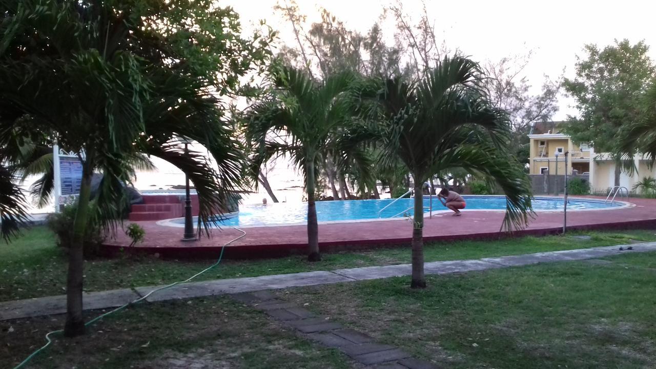 Bay * Palmar