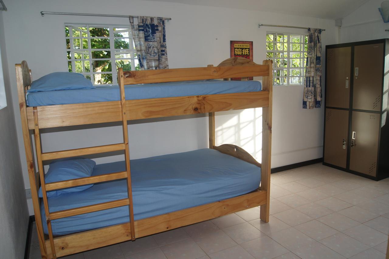 Hostel The Last Dodo *