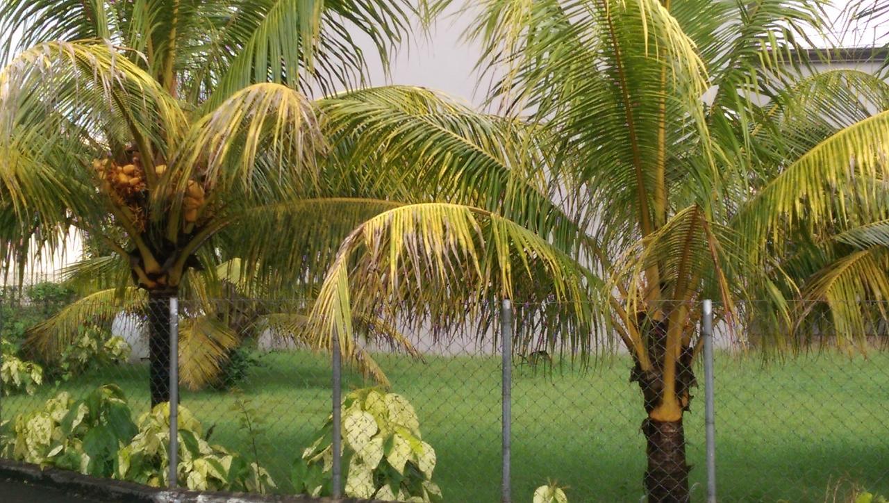 Les Corsaires Casa de férias Mont-Choisy