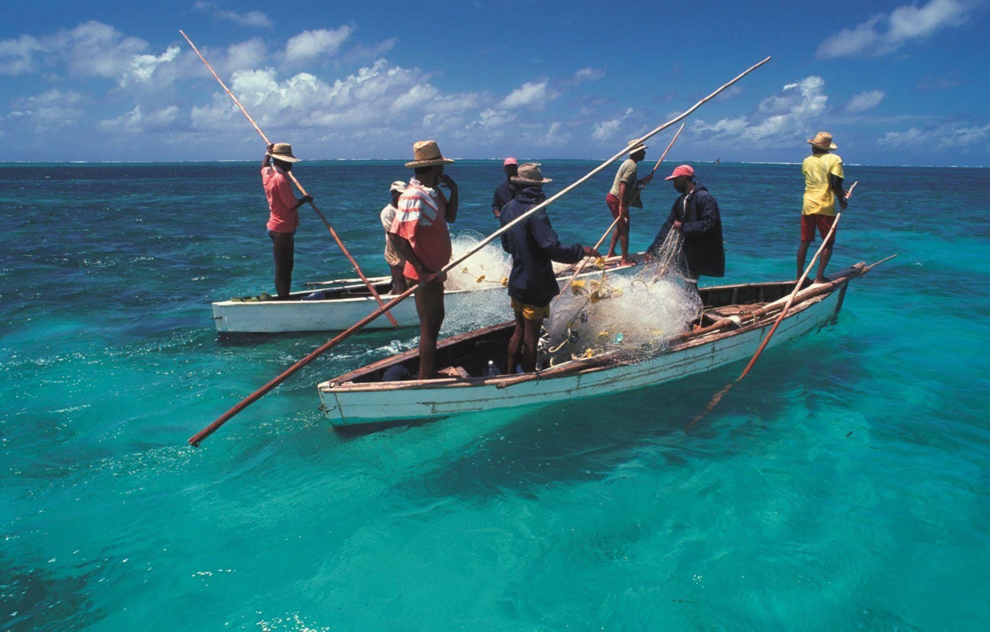 Reve Des Iles