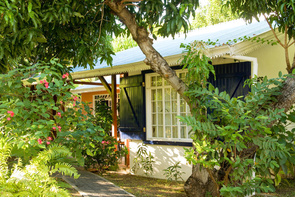 Guest house Les Lataniers Bleus - Riviere Noire