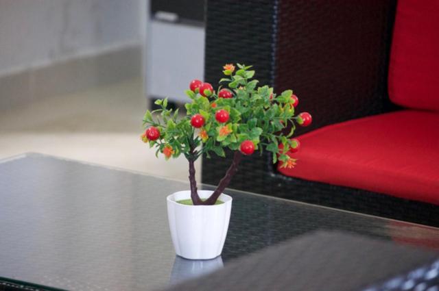 Belle Dreams - Indira Hotel Trou aux Biches