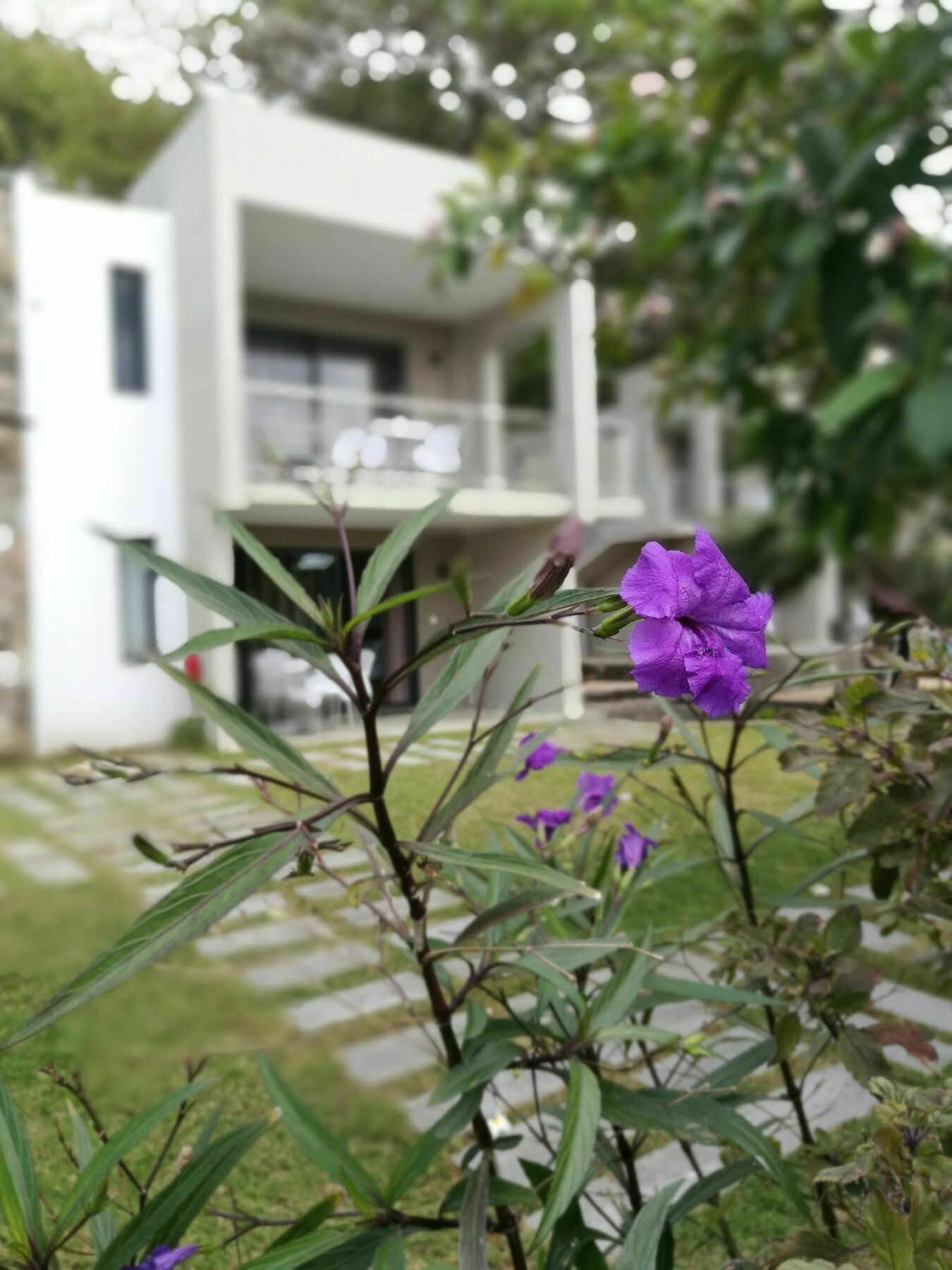 Valmarin Seafront Apartamento