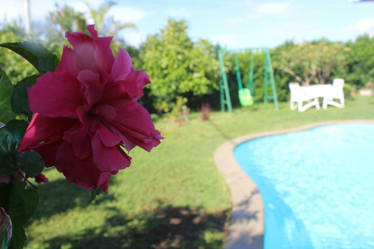 Bed & Breakfast Des Acacias