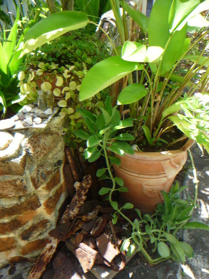 La Reine Creole Bed & Breakfast