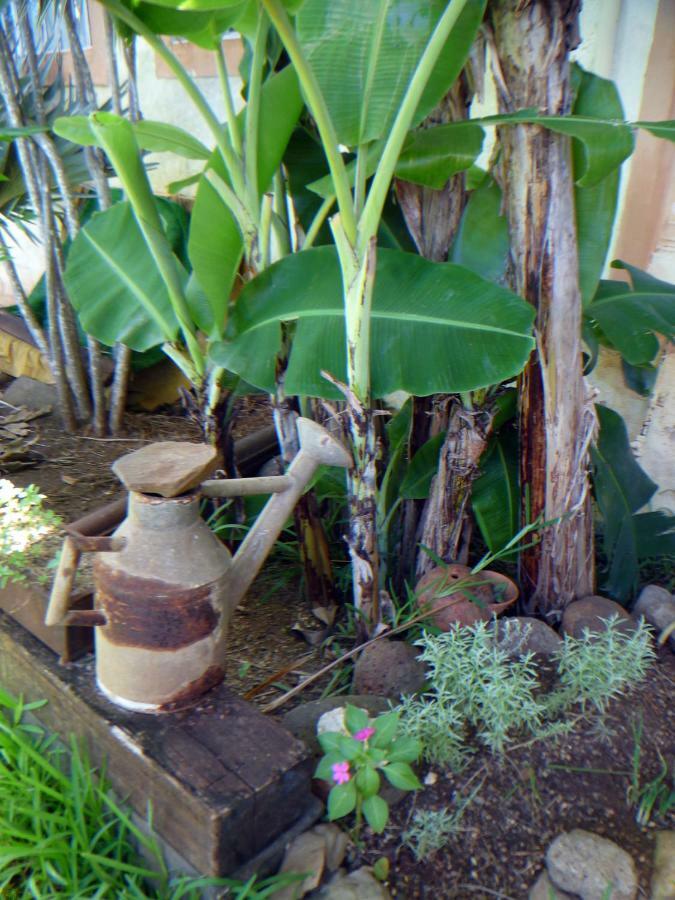 La Reine Creole Bed & Breakfast La Gaulette