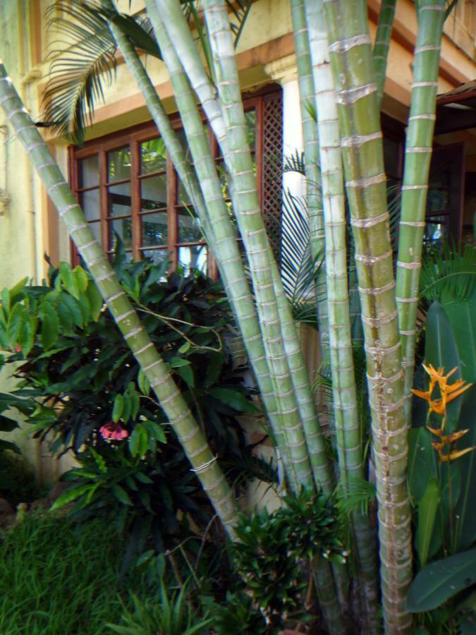 Bed & Breakfast La Reine Creole *