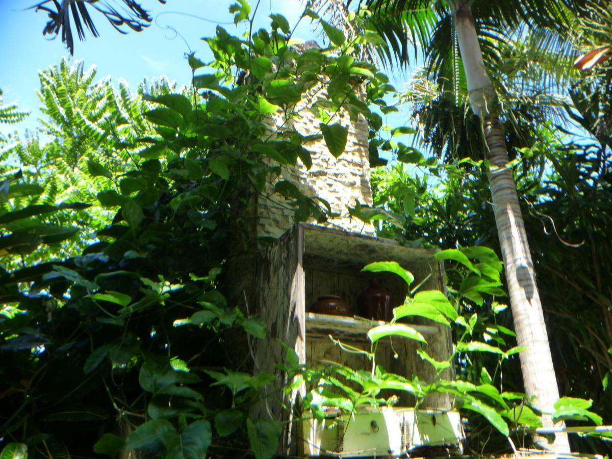 La Reine Creole Bed & Breakfast La Gaulette