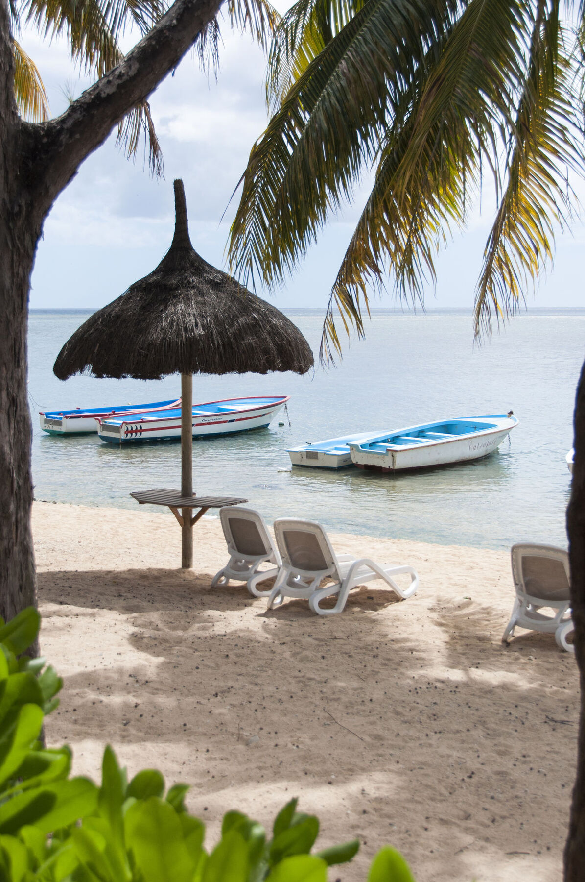 Cocotiers - Mauritius Baie-du-Tombeau