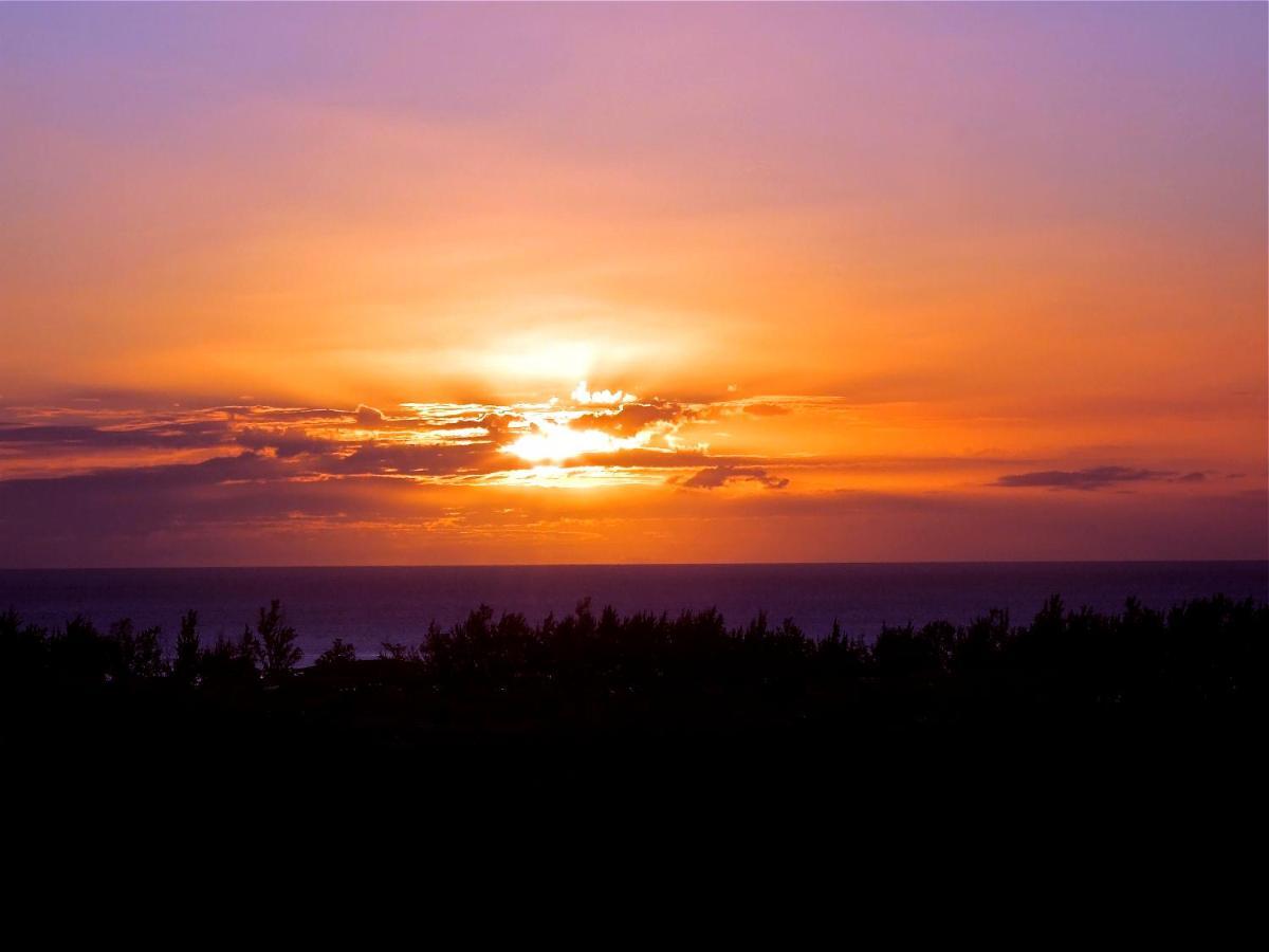 Apartamento West Coast View & *