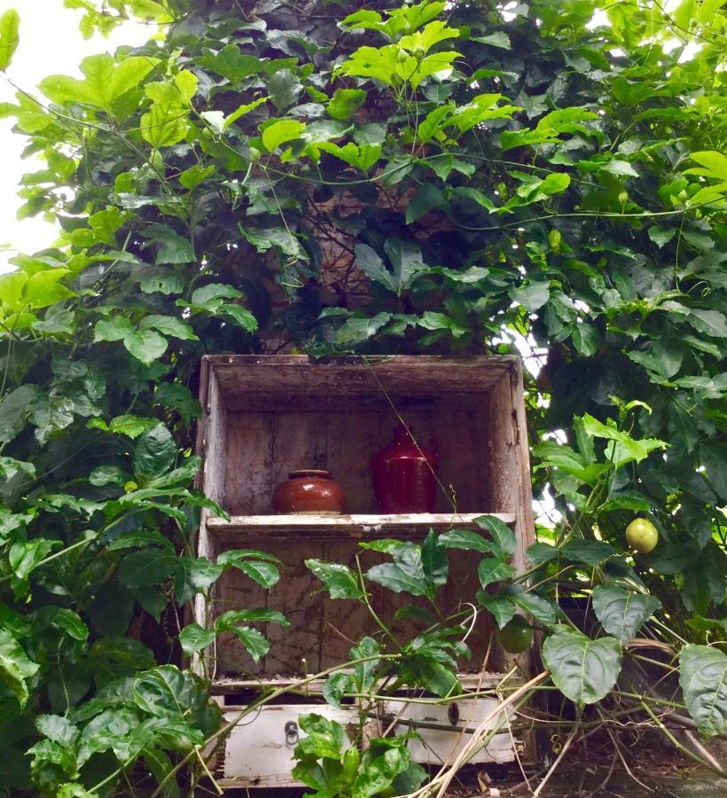 Bed & Breakfast La Reine Creole