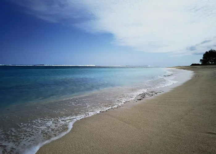 Wonderful Beach Bungalow In The South.